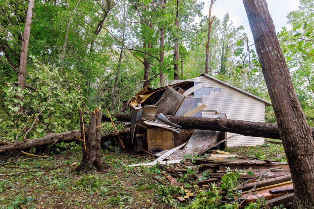 dilapidated storage shed